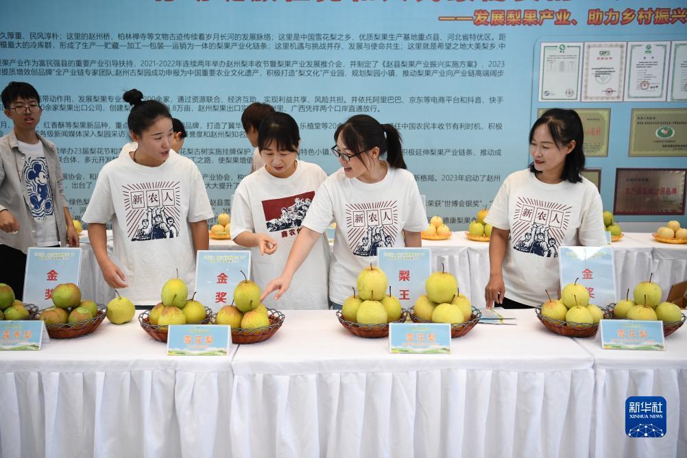 下载就送彩金